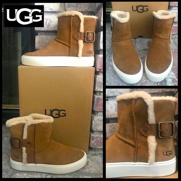 ugg aika suede trainer